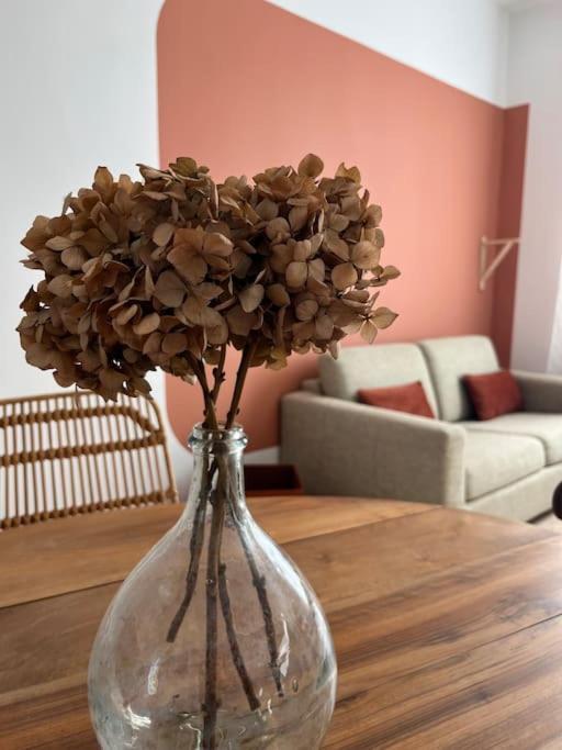 La Maison De Camille Climatisation Parking Prive Wifi Carcassone Kültér fotó